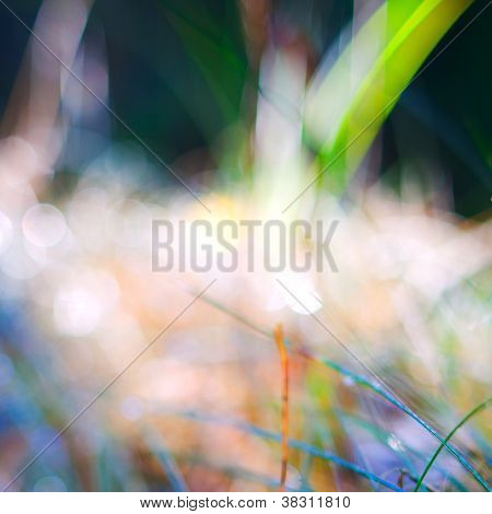 abstract Nature