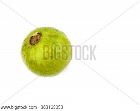 Indian Amrud Or Guava Fruit Ripen White Pulp Sweet Fresh And Juicy Indian Seasonal Isolated On White