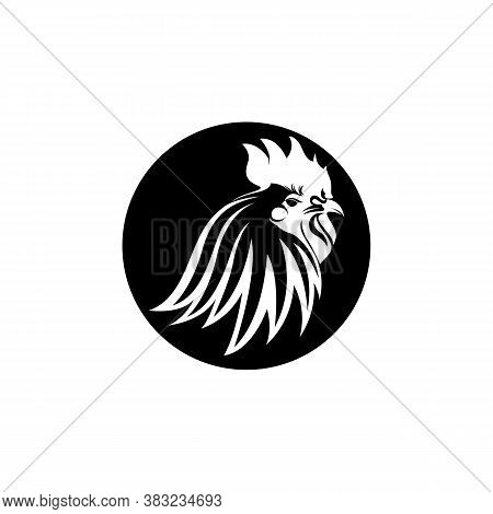 Rooster Head Logo Template Vector Image