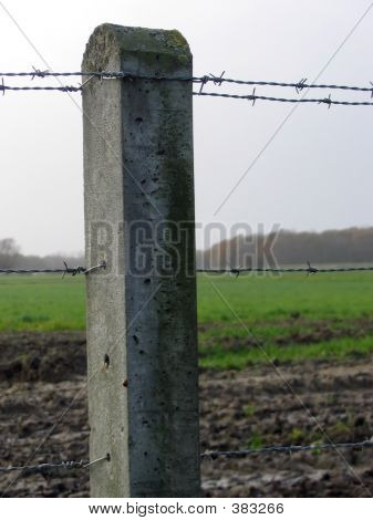 Beton-Zaun