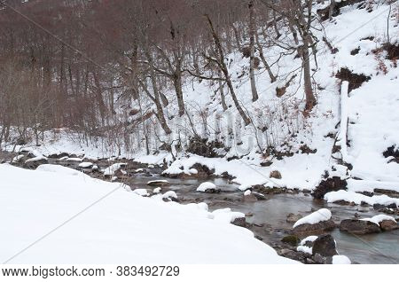 Arazas River in the Ordesa Valley. Ordesa and Monte Perdido National Park. Pyrenees. Huesca. Aragon. Spain.