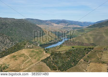 Douro River Wine Valley Region In Portugal