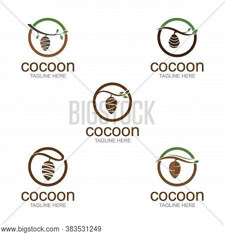 Cocoon Logo Template Vector Icon And Symbol