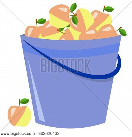 Bicolor Apples Lie In A Blue Bucket