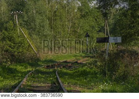 Narrow Gauge Railway Near Przyslup Station In Poland Mountains In Summer Evening