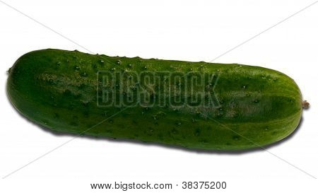 Pepino en el blanco.