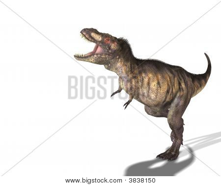 T-Rex