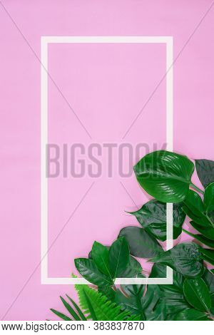 Abstract Green Leaf Texture, Nature Background, Tropical Leaf
