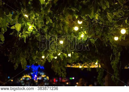 Garland Of Light Bulbs Glowing With Warm Light Suspended From Tree Branches In Backyard Garden With 