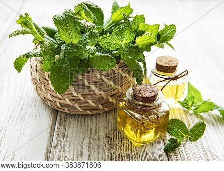 Organic Essential Mint Oil With Green Leaves
On A White  Wooden Background