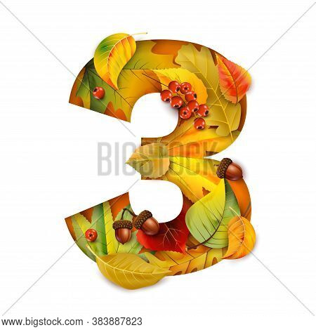 Autumn Stylized Alphabet With Foliage. Digit3. For Your Design.