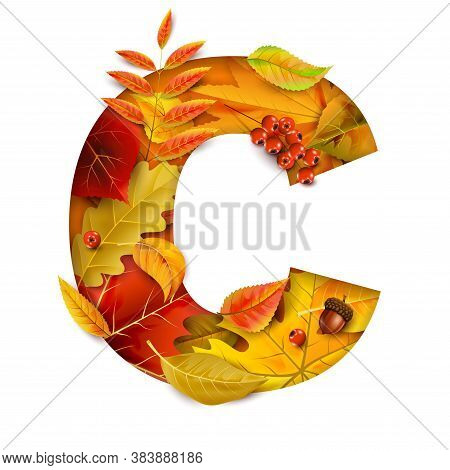 Autumn Stylized Alphabet With Foliage. Letter C. For Your Own Design.