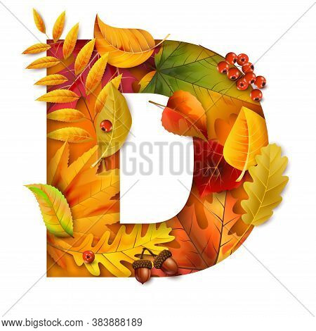 Autumn Stylized Alphabet With Foliage. Letter D. For Your Own Design.