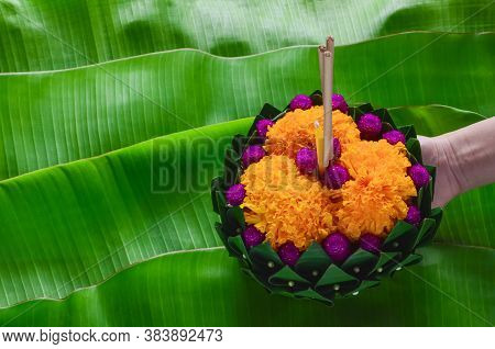 Hand Holding Banana Leaf Krathong That Have 3 Incense Sticks And Candle Decorates With Flowers For T