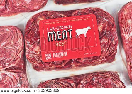 Lab Grown Cultured Meat Concept For Artificial In Vitro Cell Culture Meat Production With Frozen Pac