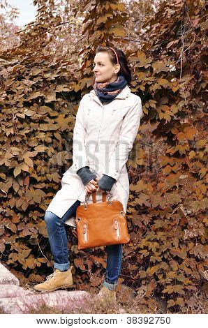 Autumn walk