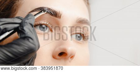 Eyebrow Tint, Master Correction Of Brow Hair Women