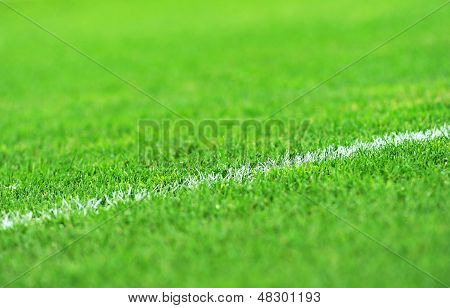 Fußball-Rasen