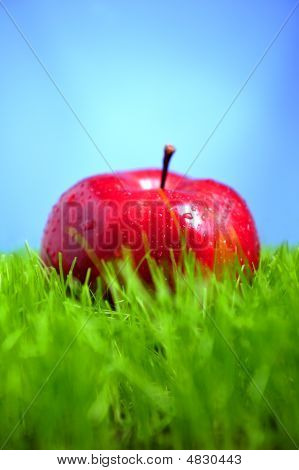 Apple v trávě