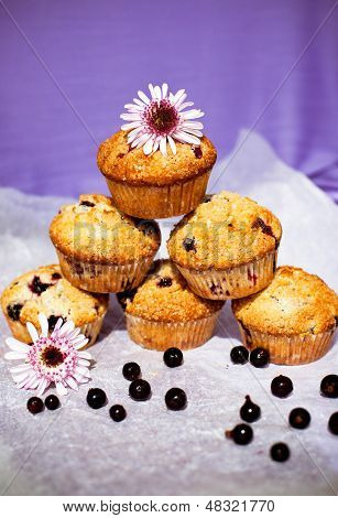 Solbær Muffins