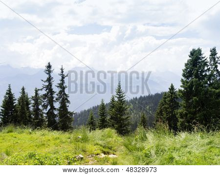 Un'immagine di un paesaggio bello a Beatenberg Svizzera