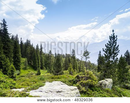 Un'immagine di un paesaggio bello a Beatenberg Svizzera
