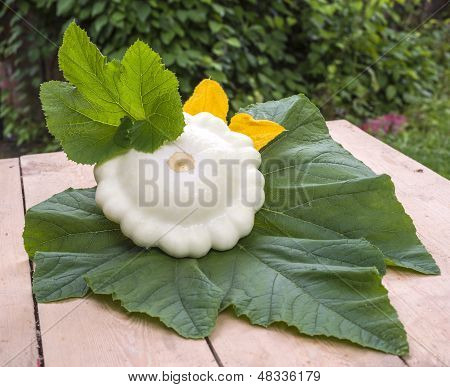 Pattypan บุชผลไม้ที่อยู่บนใบไม้สีเขียวบนโต๊ะไม้กับใบไม้และดอกไม้