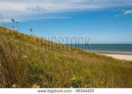 Brittas Bay. Wicklow İrlanda.
