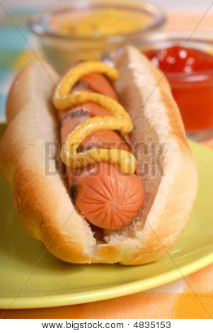 Hot Dog