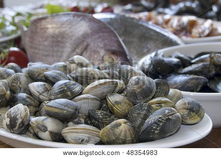 Fresh Fish