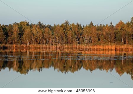 bog lake