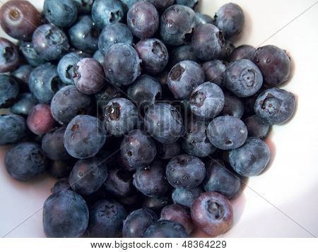Fresh Blueberries