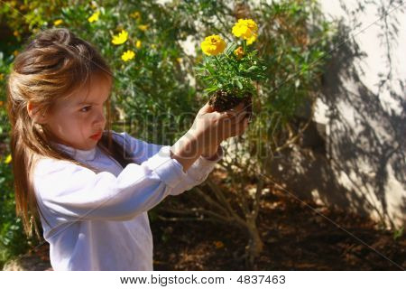 若い女の子は庭で花を植えます。