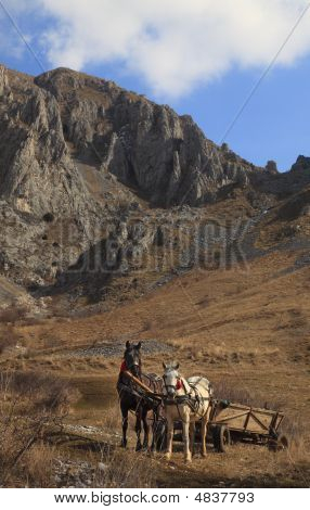 Montañas Trascau