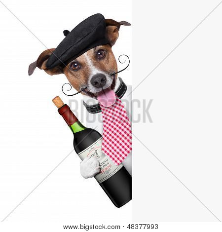 Franske hund