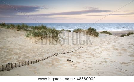 Grassy Sand Dunes Landscape At Sunrise