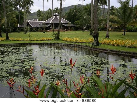 Lago con acqua-lilys su un sfondo di palme e montagne