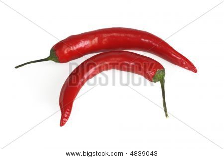 Red Chili Pepper