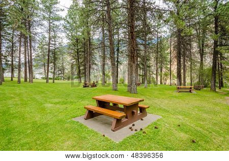 Area picnic bella Thompson river, Canada.