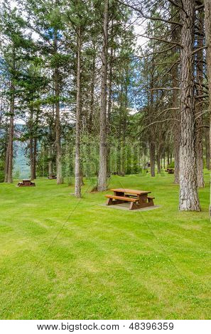 Area picnic bella Thompson river, Canada.