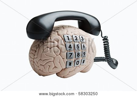 Brain with phone