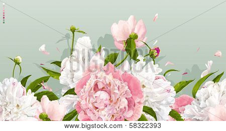 Pink And White Peony Background