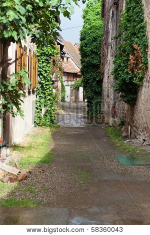 Street with half-timbered medieval houses in Eguisheim
