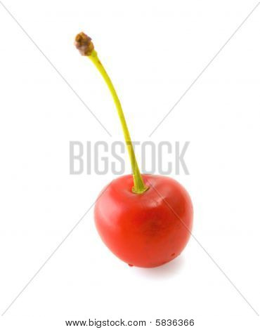 Kirsebær
