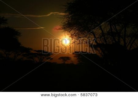 tramonto al serengeti