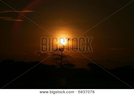 tramonto al serengeti