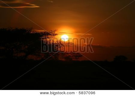 African Sunset
