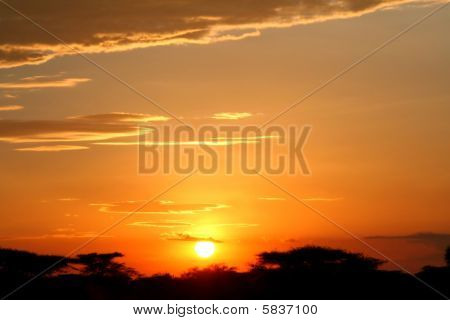 tramonto al serengeti