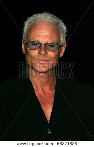 Michael Des Barres at the Movieline Hollywood Life Style Awards. Pacific Design Center, West Hollywood, CA. 10-15-06