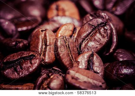 Coffee Bean On Macro For Background